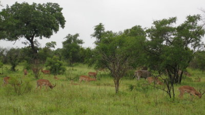 IMG_0266.jpg