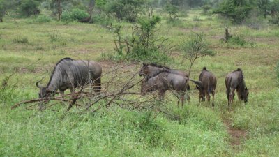 IMG_0272.jpg