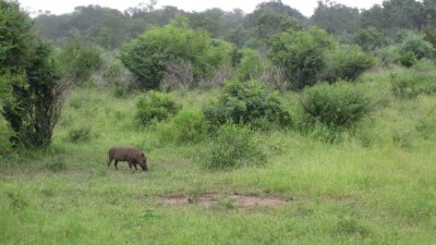 IMG_0280.jpg