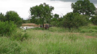 IMG_0312.jpg