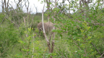 IMG_0325.jpg