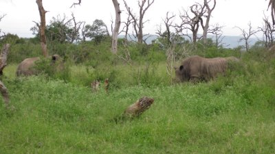 IMG_0328.jpg