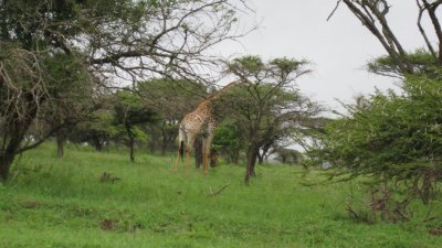 IMG_0365.jpg