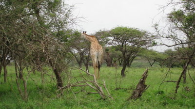 IMG_0366.jpg
