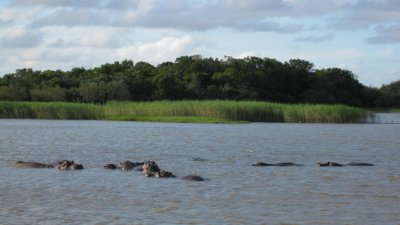 IMG_0463.jpg