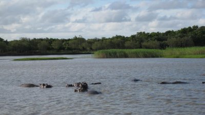 IMG_0464.jpg