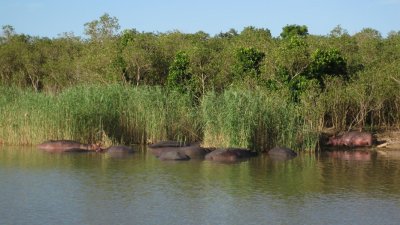IMG_0467.jpg
