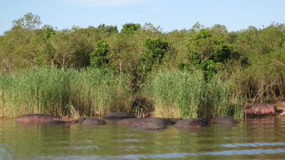 IMG_0468.jpg
