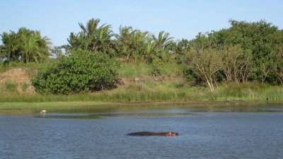 IMG_0470.jpg