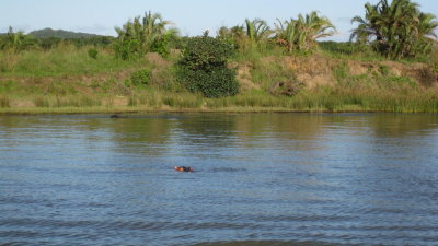IMG_0473.jpg