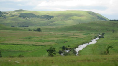 IMG_0518.jpg