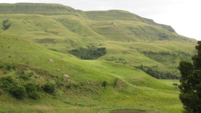 IMG_0522.jpg