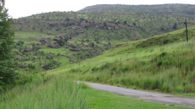 IMG_0523.jpg