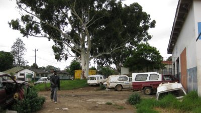IMG_0574.jpg