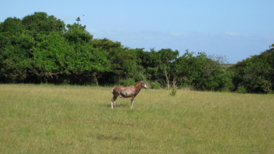 IMG_0594.jpg