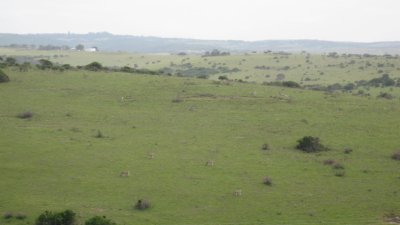 IMG_0625.jpg