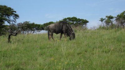IMG_0628.jpg