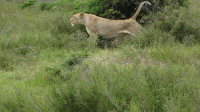 IMG_0633.jpg
