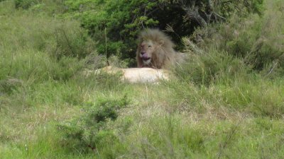IMG_0637.jpg