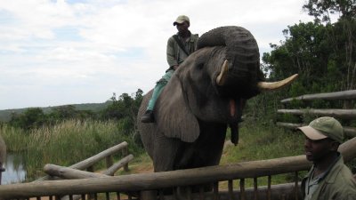 IMG_0655.jpg