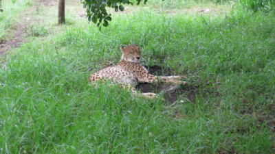 IMG_0677.jpg
