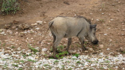 IMG_0697.jpg