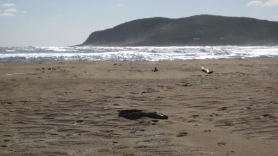 IMG_0755.jpg