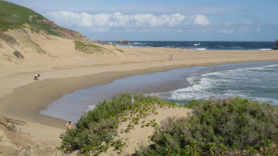 IMG_0761.jpg
