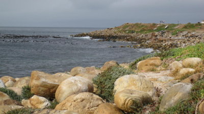 IMG_0863.jpg