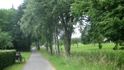 IMG_1304.jpg