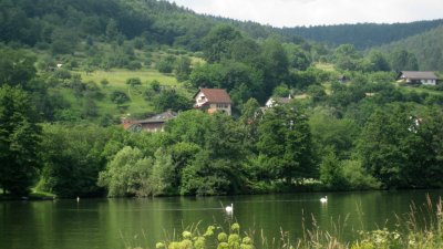 IMG_1315.jpg