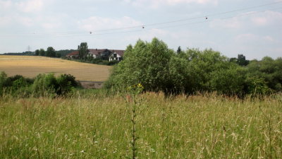 IMG_1323.jpg