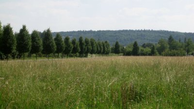IMG_1324.jpg