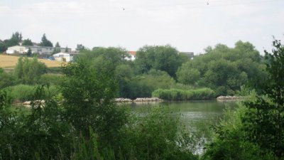 IMG_1326.jpg
