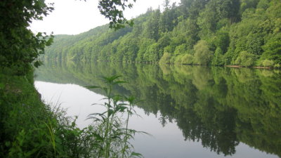 IMG_1327.jpg