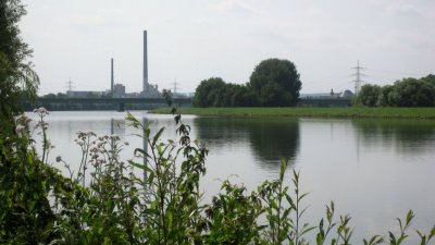 IMG_1344.jpg
