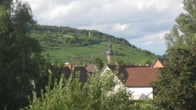 IMG_1490.jpg