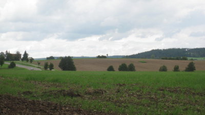 IMG_1536.jpg
