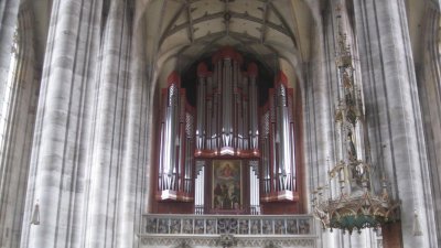 IMG_1544.jpg