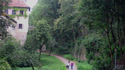 IMG_1548.jpg
