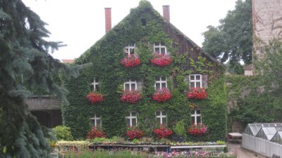 IMG_1549.jpg