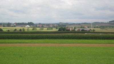 IMG_1569.jpg