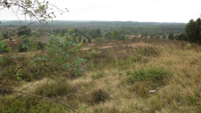 IMG_1427.jpg