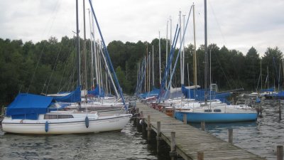 IMG_1449.jpg