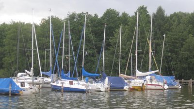 IMG_1450.jpg