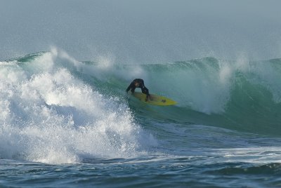 Surfer 3