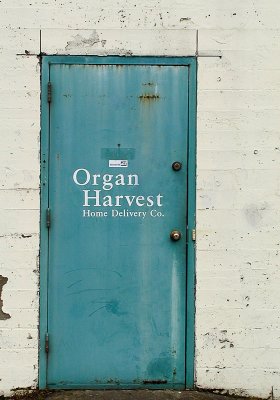 Organ HarvestP1238983 copy.jpg