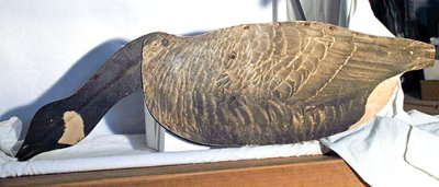 XFEb1 -012206.jpg