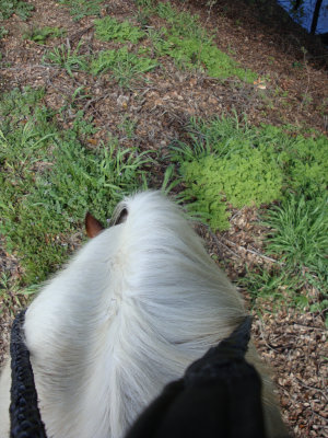 g1/79/201179/3/109628853.Zqk805d2.jpg