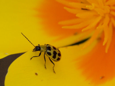 x6051511.JPG